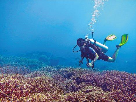 济南交通信号灯进入“寒假模式”